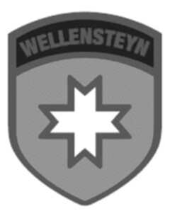 WELLENSTEYN