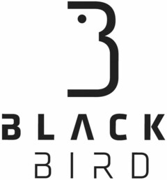 BLACK BIRD