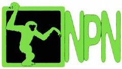 NPN