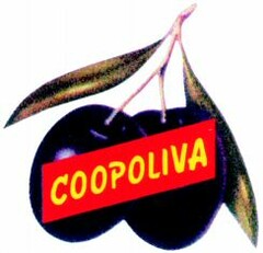 COOPOLIVA