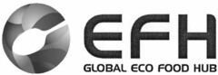 EFH GLOBAL ECO FOOD HUB