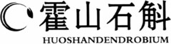 HUOSHANDENDROBIUM