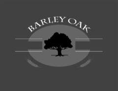 BARLEY OAK