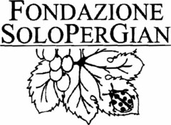 FONDAZIONE SOLOPERGIAN