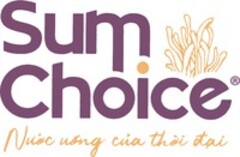 Sum Choice
