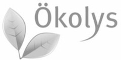 Ökolys