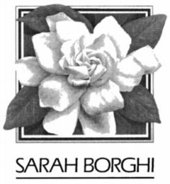 SARAH BORGHI