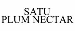 SATU PLUM NECTAR