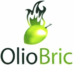 OlioBric