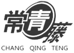 CHANG QING TENG