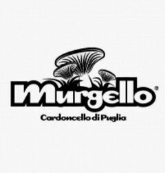 MURGELLO Cardoncello di Puglia