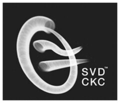 SVD CKC