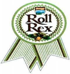 Saray Roll Rex