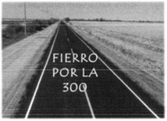 FIERRO POR LA 300