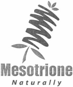 Mesotrione Naturally