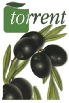 torrent