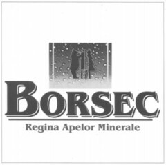 BORSEC Regina Apelor Minerale