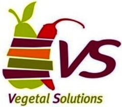 VS Vegetal Solutions