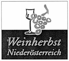 Weinherbst Niederösterreich