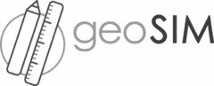 geoSIM