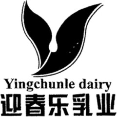 Yingchunle dairy