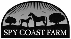 SPY COAST FARM