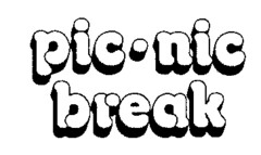 pic-nic break