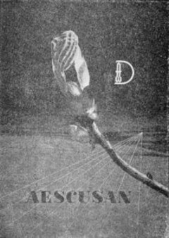 D AESCUSAN