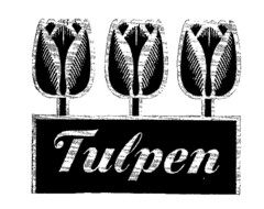 Tulpen