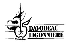 DAVODEAU LIGONNIERE