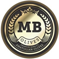 MB OLIVES PREMIUM QUALITY ANATOLIAN OLIVES