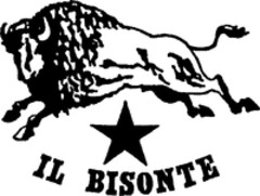 IL BISONTE