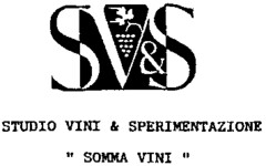 SV&S STUDIO VINI & SPERIMENTAZIONE "SOMMA VINI"