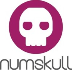 numskull