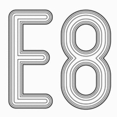 E 8