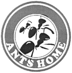 ANTS HOME