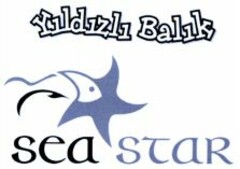 Yildizli Balik sea star