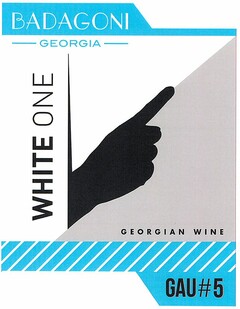 BADAGONI GEORGIA GEORGIAN WINE WHITE ONE GAU#5