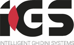 IGS INTELLIGENT GHIDINI SYSTEMS