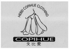 HEBEI COPIHUE CLOTHING COPIHUE