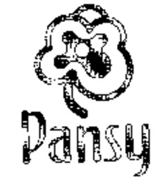 Pansy