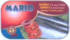 MARIO Sardines à la sauce tomate Sardines in tomato sauce