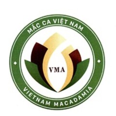 MẮC CA VIỆT NAM VMA VIETNAM MACADAMIA