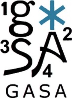 1g3SA24 GASA