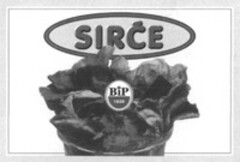 SIRCE BiP 1839