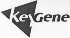 KeyGene