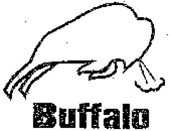 Buffalo