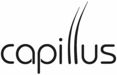 capillus