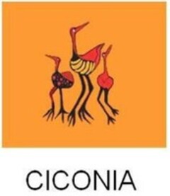 CICONIA