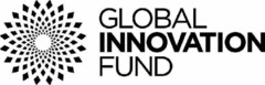 GLOBAL INNOVATION FUND